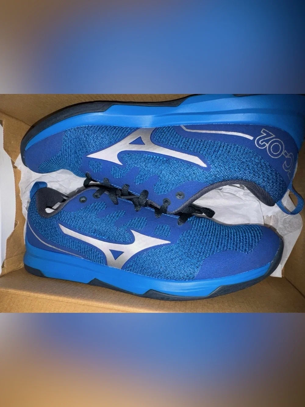 Brand New Mizuno Men's Training Shoes